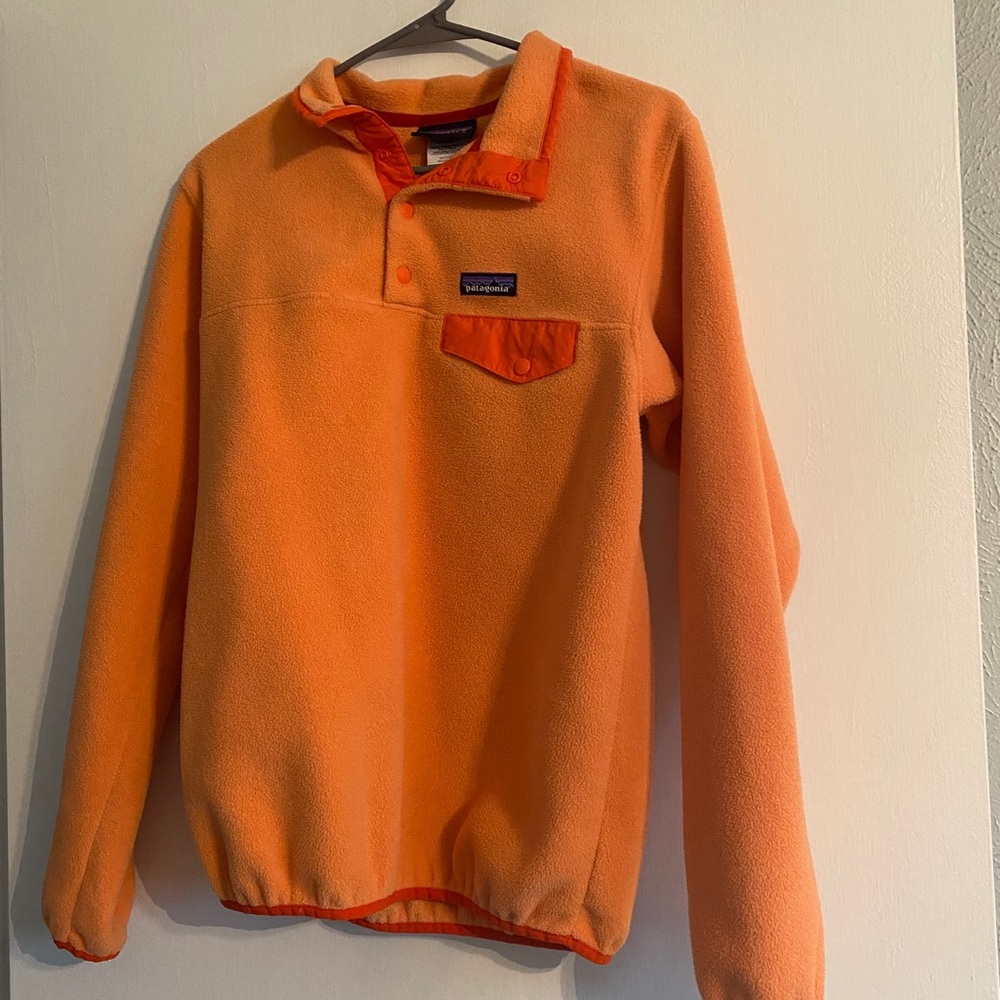 Patagonia Synchilla pullover